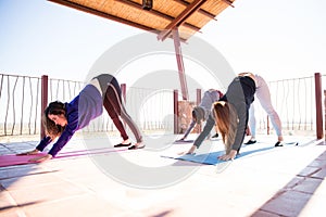 Downward dog pose in yoga class