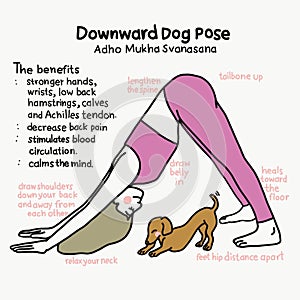 Downward Dog yoga pose and benefits cartoon illustration