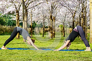 Downward facing dog