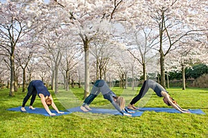 Downward facing dog