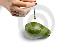 Dowser with hand-held pendulum checks the usefulness of avocado fruit.
