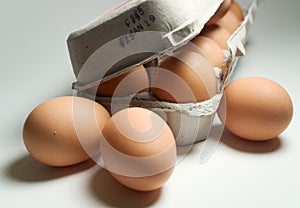 Dozen Brown Eggs photo