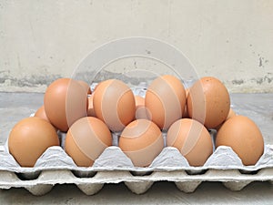 Dozen of chicken egg for cooking breakfast in the egg storage tray, 2 row of egg,Easter egg for hiding