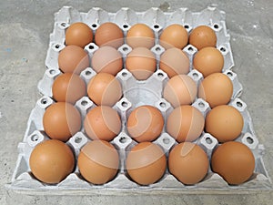 Dozen of chicken egg for cooking breakfast in the egg storage tray with egg center missing, Easter egg for hi