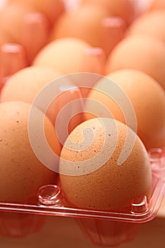 Dozen eggs photo