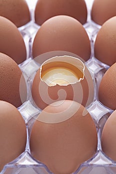 Dozen Eggs
