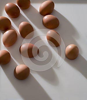 Dozen Eggs