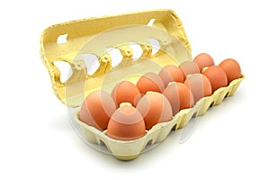 Dozen eggs photo