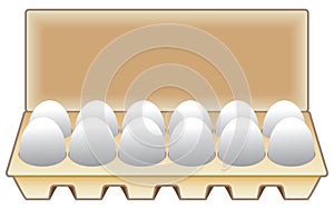 A Dozen Eggs in a Carton