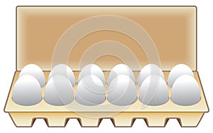 A Dozen Eggs in a Carton photo