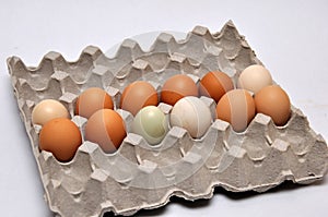A dozen fresh farm eggs on a seamless background