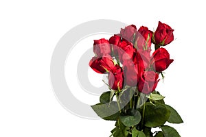 Dozen Red Roses