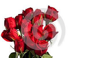 Dozen Red Roses