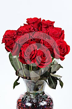 Dozen red roses photo