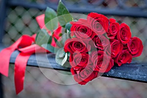 Dozen red roses on a bench