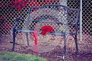 Dozen red roses lying on a bench