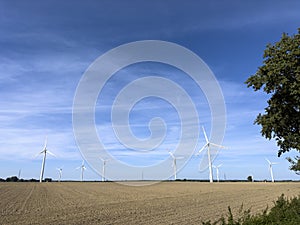 A dozen windmills producing renewable energy standing in a field.