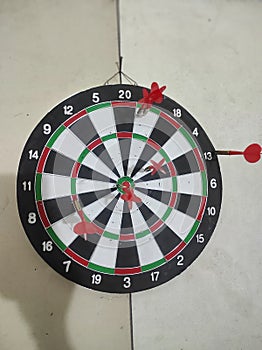 After dozens of attempts, one finally penetrated the center. Darts.