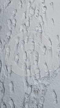 Dozens of footprints in fresh snow