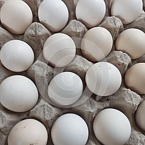 Dozens of small free-range chicken eggs are placed on the tray by the trader