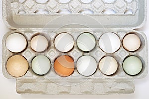 Molti varietà da uova 