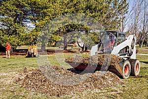 Dozer removing debris from Stump removal