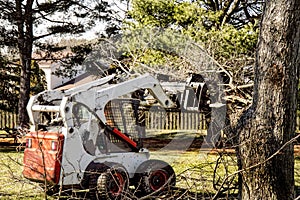 Dozer removing limbs and branches