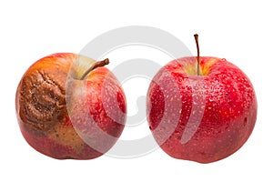 Dozy red apple as comparison to fresh red apple