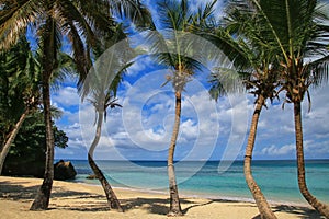 Dr. Grooms Beach near Point Salines, Grenada Island, Grenada