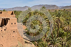 Draa valley, palm plantations, traditional kasbah, Morocco
