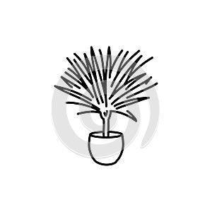 Dracaena houseplant black line icon. Indoor decorative plant.