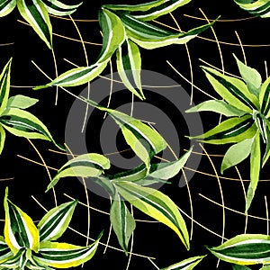 Dracena green leaves. Leaf plant botanical floral foliage. Watercolor illustration set. Seamless background pattern.