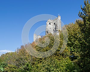 Drachenfels Castle Ruin in the Rhine Valley near Bonn, Germany