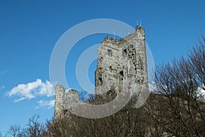 Drachenfels ruin in Koenigswinter, perspective view