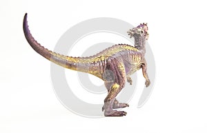 Dracorex , dinosaur on white background