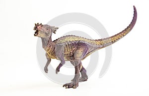 Dracorex , dinosaur on white background