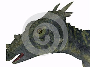 Dracorex Dinosaur Head photo