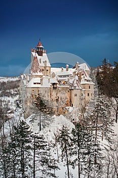 Dracula`s Castle in winter