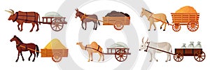 Draft animals cart. Yoke oxen pulling carts, village horse farm power cattle for work, indian bull historical medieval