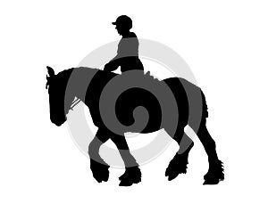 Draft Horse Silhouette 