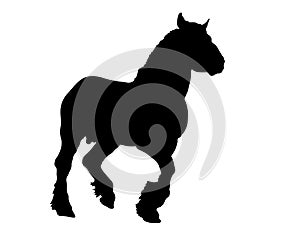 Draft Horse Silhouette 