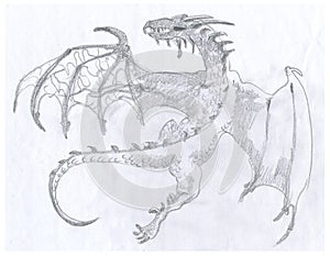 Dragon 1