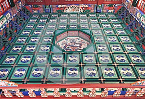 dragon ane cranes pattern from ancient Chinese architecture