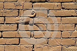 Dragon bas-relief, Ishtar gate, Babylon