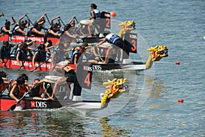 Dragon boats racing to finish DBS river Regatta 2013