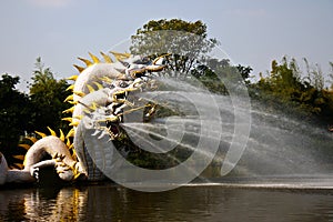 Dragon breathing water