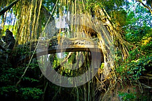 Dragon Bridge in Ubud Sacred Monkey Forest