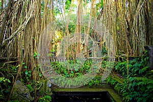 Dragon Bridge in Ubud Sacred Monkey Forest