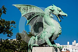 Dragon bronze statue with wings from Ljubljana, Captial city of Slovenia in eastern Europe. Blue sky and tree background.