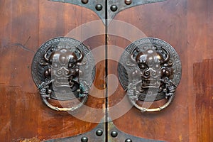 Dragon chinese door knocker on a brown wooden gate